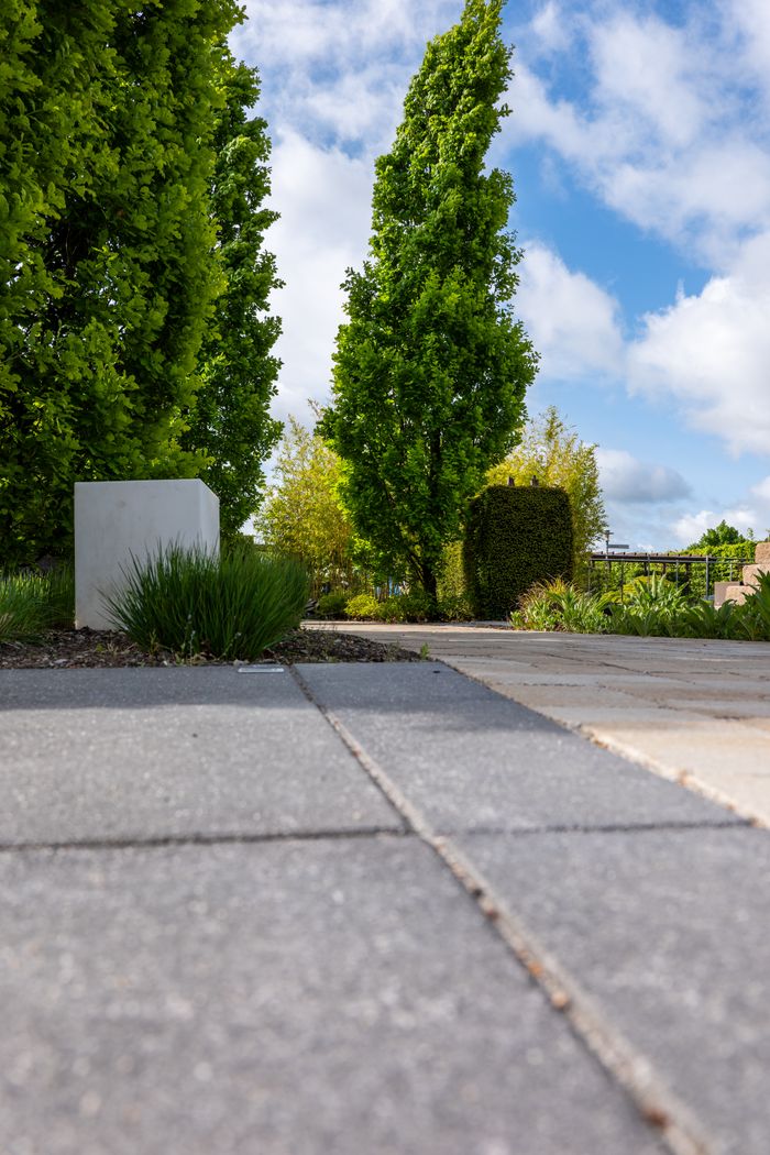 Low angle view of a modern garden pathway surrounded by lush green trees and blue sky.